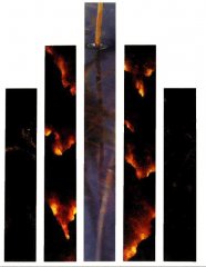 Elements 1