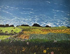 Oat Fields