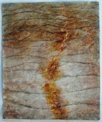 Palm Trunk 2